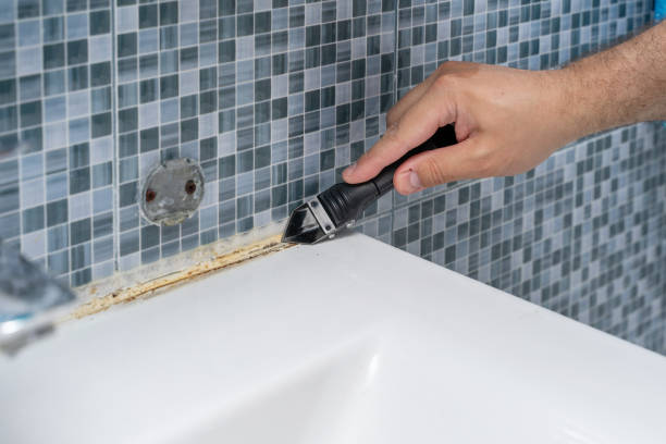 Best Affordable Mold Removal  in Wright Patterson Af, OH