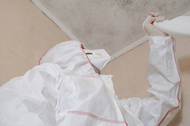 Best Residential Mold Removal  in Wright Patterson Af, OH